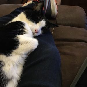 Meet your Posher, Jennifer